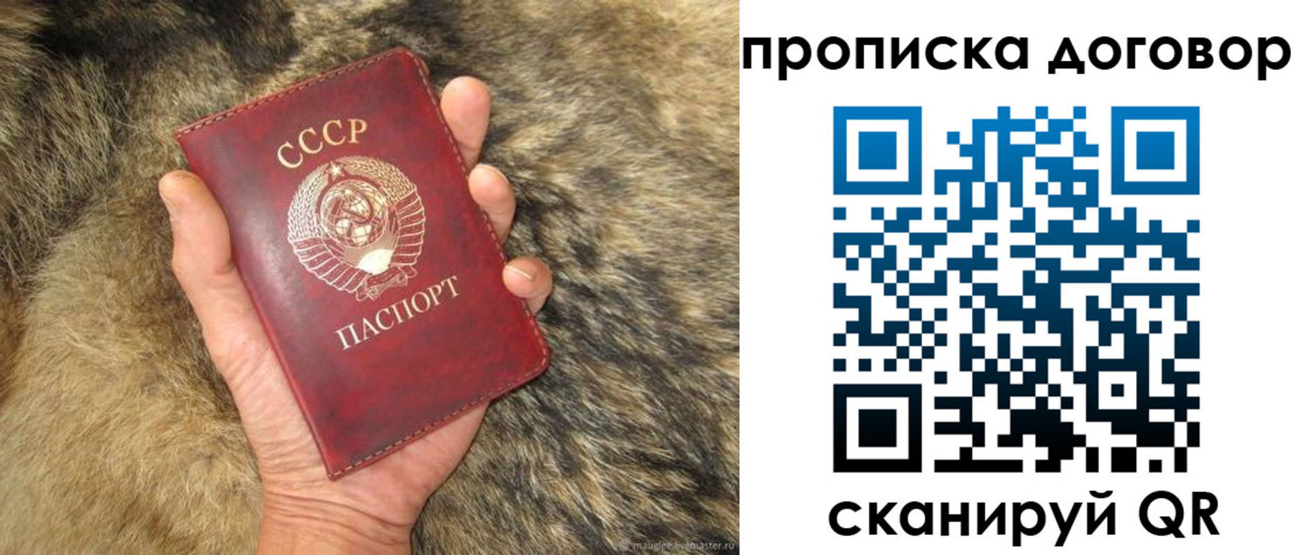 прописка регистрация в Торопеце